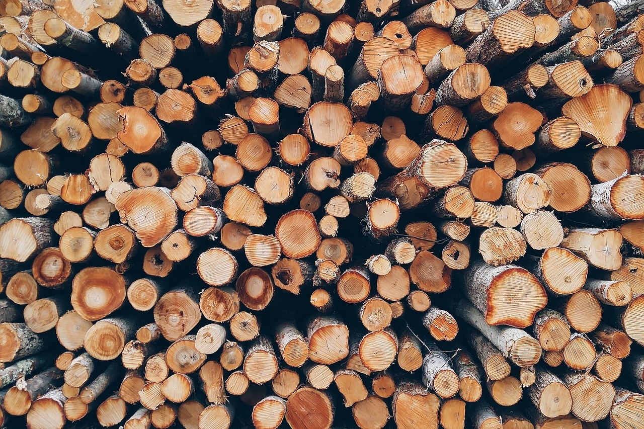 dlaczego drewno pęka